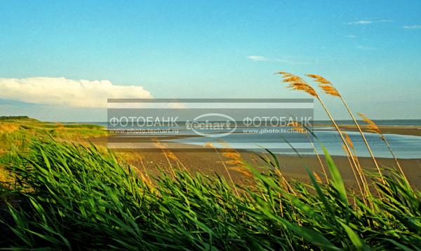 Природа России. Вид на реку / Природа / реки и озера