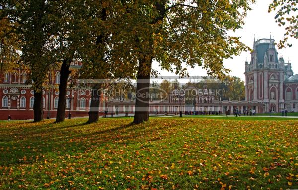 Москва. Царицыно. Природно-исторический парк / Город, архитектура / городской пейзаж