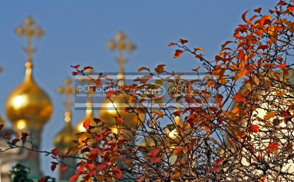 Москва. Кремль / Город, архитектура / фрагменты и детали