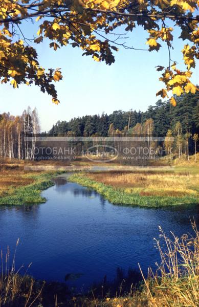 Река / Природа / осенний пейзаж