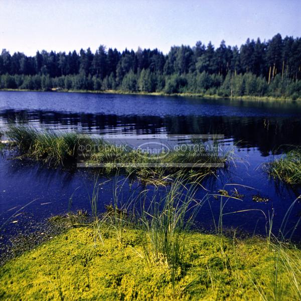 Река / Природа / реки и озера