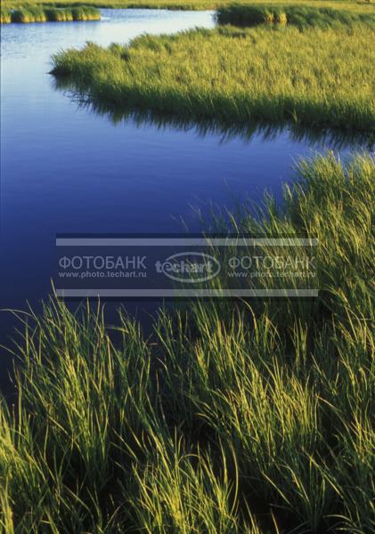 Низовье реки Печора. Россия / Природа / реки и озера
