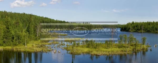 Река в тайге. Россия . Республика Карелия / Природа / реки и озера