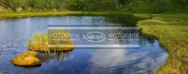 Река в тайге. Россия . Республика Карелия / Природа / реки и озера