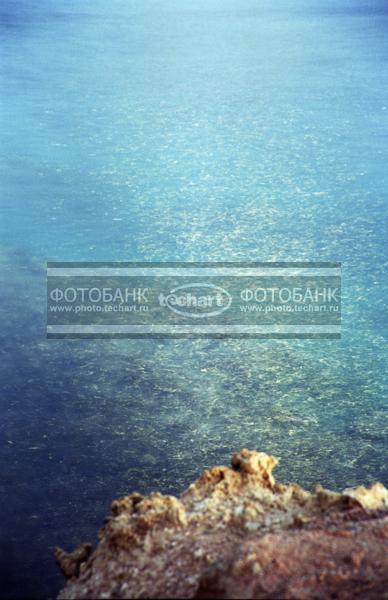 Египет. Красное море / Природа / моря и океаны