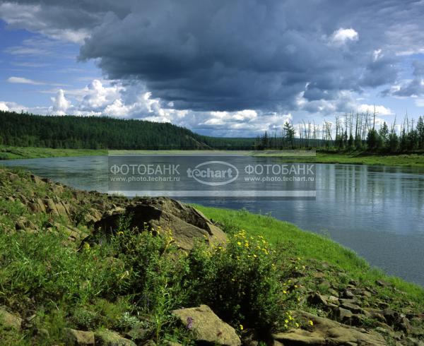 Русский пейзаж. Россия. Красноярский край. Эвенкия. Средняя Сибирь. Река Подкаменная Тунгуска / Природа / реки и озера