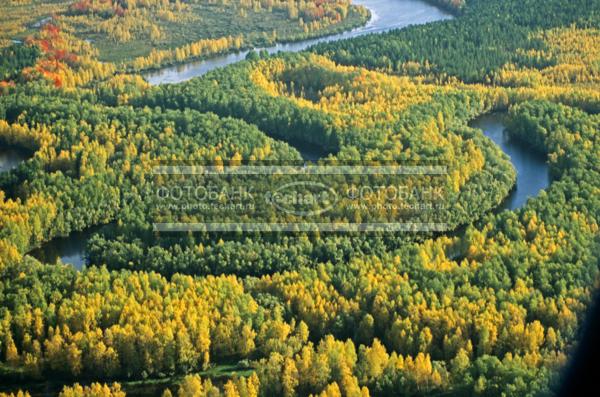 Русский пейзаж. Природа России. Россия. Тюменская область.  Ханты-Мансийский автономный округ. Река Обь. Осенний лес / Природа / леса и поля