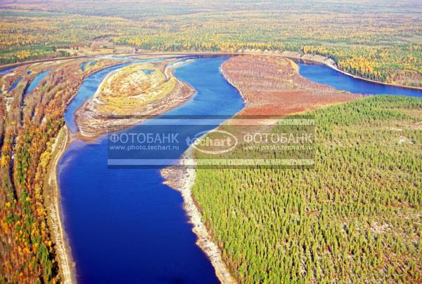 Русский пейзаж. Природа России. Россия. Тюменская область.  Ханты-Мансийский автономный округ. Между Берёзово и Саранпаулем. Река и лес / Природа / реки и озера