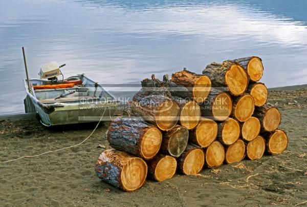 Русский пейзаж. Природа России. Россия. Сибирь. Красноярский край. Таймырский автономный округ. Полуостров Таймыр. Плато Путорана. Озеро Накомякен на устье реки Нерунгда. Бревна и лодка на берегу реки / Природа / прочее