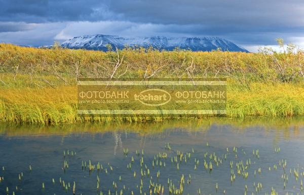 Русский пейзаж. Природа России. Россия. Сибирь. Красноярский край. Таймырский автономный округ. Полуостров Таймыр. Плато Путорана. Озеро Хантайское. Осенняя тайга / Природа / осенний пейзаж