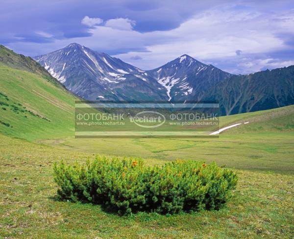 Русский пейзаж. Природа России. Россия. Камчатка. Перевал между вулканами Бакенинг и Ново-Бакенинг. Вид на горы / Природа / горы