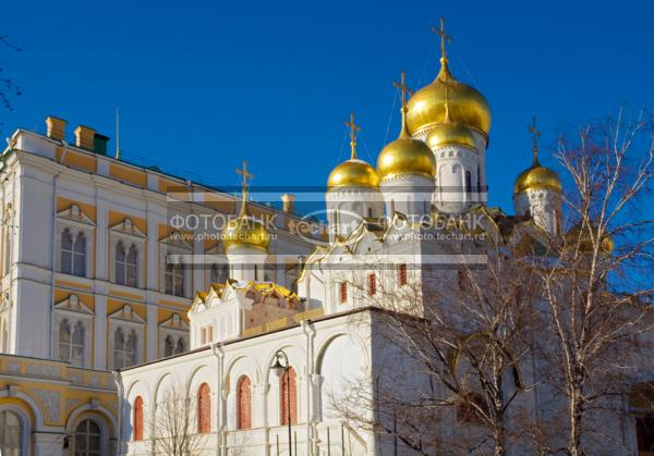 Россия. Москва. Кремль. Купола собора / Город, архитектура / архитектура и скульптура