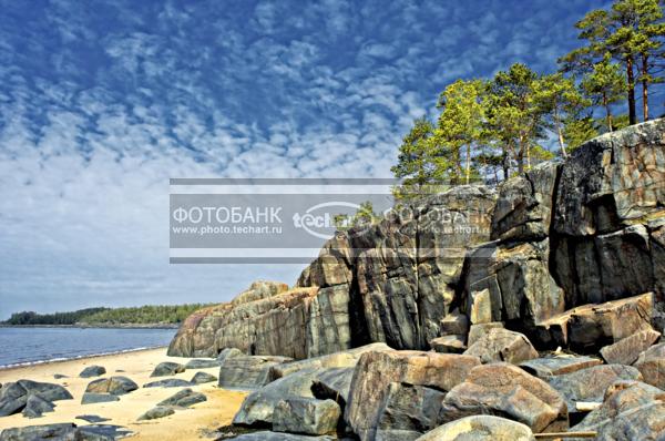 Россия. Природа России. Белое Море. Остров Кий. Каменный берег. Деревьяна фоне неба / Природа / весенний пейзаж