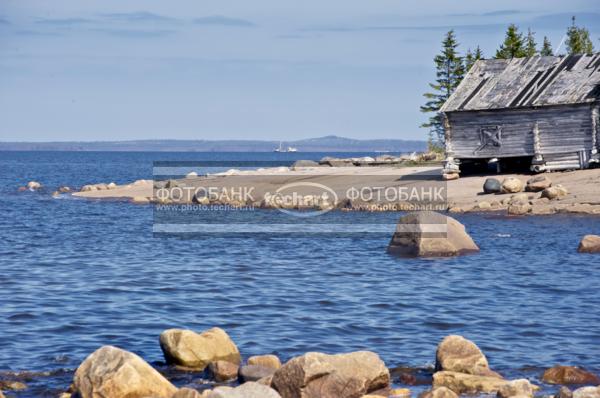 Россия. Природа России. Белое Море. Пушлахта. Поморский берег. Деревня Юково. Деревянные дома у реки / Природа / реки и озера