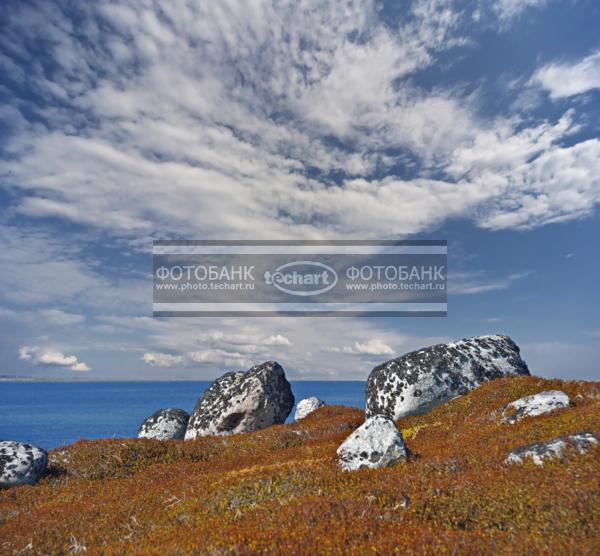 Россия. Природа России. Белое Море. Остров, камни и небо / Природа / прочее