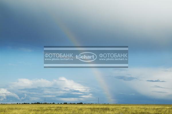 Природа России. Поле. Радуга в небе / Природа / весенний пейзаж