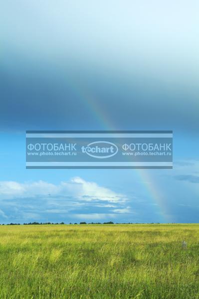 Природа России. Поле. Радуга в небе / Природа / весенний пейзаж