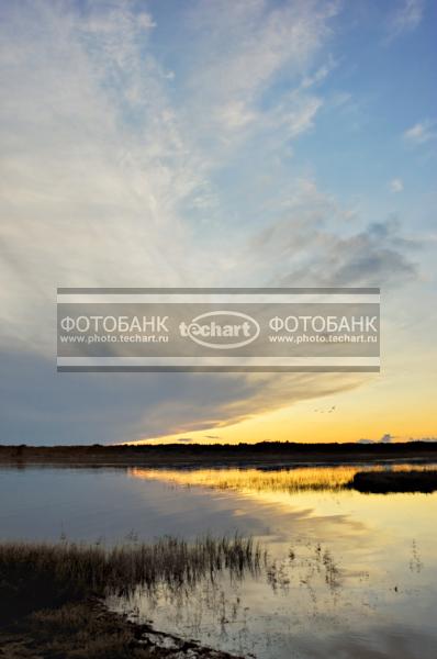 Россия. Архангельская область. Кенозерье. Закат / Природа / закаты и рассветы