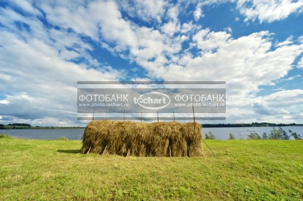 Россия. Архангельская область. Кенозерье. Поле, стог сена / Природа / леса и поля