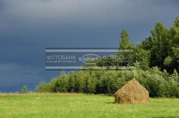 Россия. Архангельская область. Кенозерье. Поле у Тырнаволка. Стог сена / Природа / леса и поля