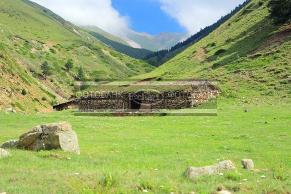 Россия. Кавказ. Эльбрус, республики Кабардино-Балкария и Карачаево-Черкесия. Долина, трава / Природа / горы