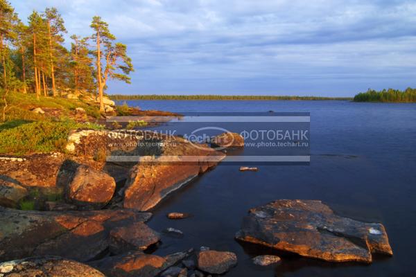 Россия. Карелия. Закат на озере Боярсоке, деревья / Природа / реки и озера