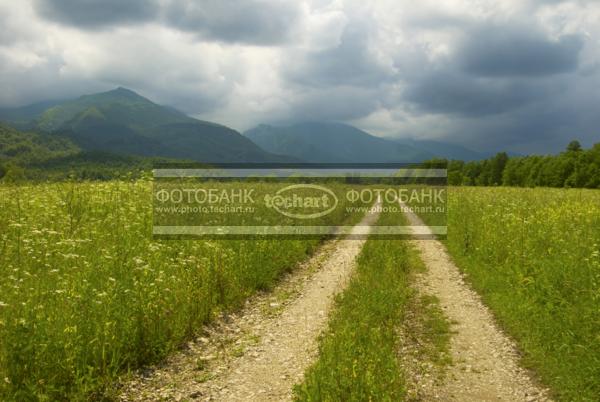 Россия. Северная Осетия. Дорога в поле / Природа / леса и поля