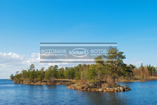 Россия. Валаам. Остров архипелага. Сосны, камни / Природа / весенний пейзаж