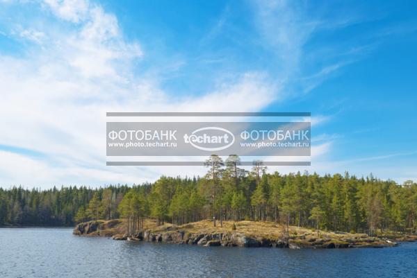 Россия. Валаам. Остров на Ладоге. Сосны. / Природа / весенний пейзаж
