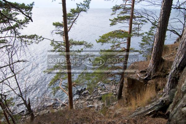 Россия. Валаам. Вид с острова Святой на озеро ладога. Сосны, берег / Природа / весенний пейзаж
