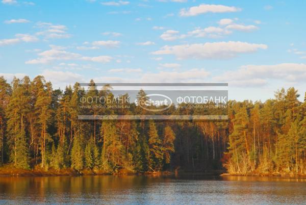 Россия. Валаам. Рассвет на озере Ладога с острова Валаам. Сосны / Природа / весенний пейзаж
