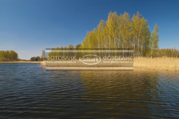 Россия. Псковская область. Озеро Верято / Природа / реки и озера