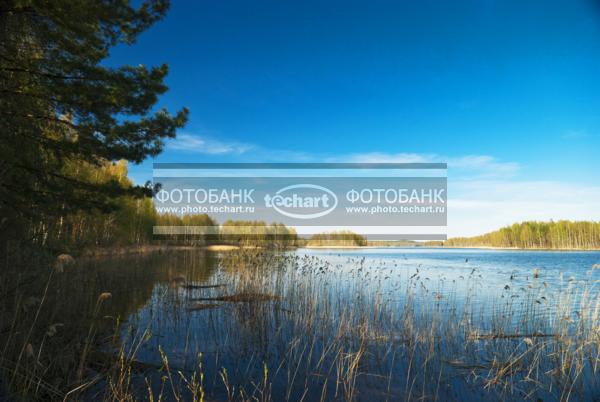 Россия. Псковская область. Озеро Верято / Природа / реки и озера