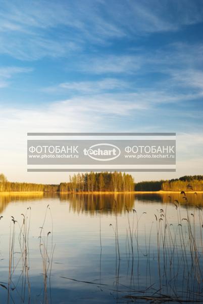 Россия. Псковская область. Озеро Верято / Природа / реки и озера