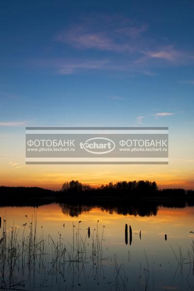 Россия. Псковская область. Озеро Верято. Закат / Природа / закаты и рассветы
