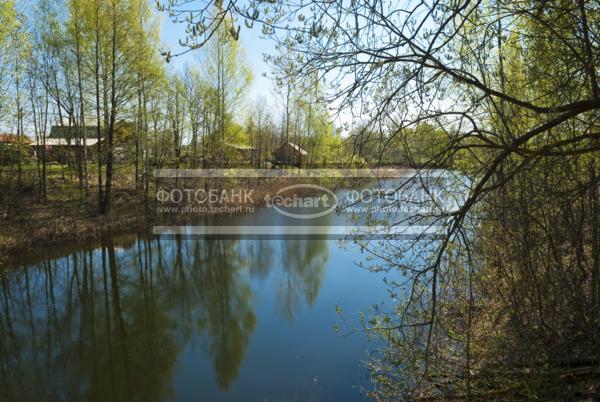 Россия. Псковская область. Деревня Копылок. Берег озера Верято / Природа / реки и озера