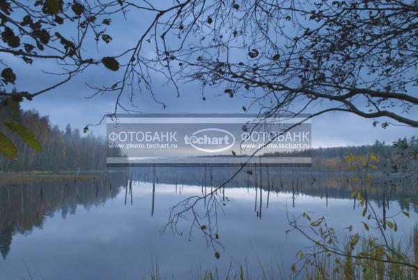 Россия. Псковская область. Верято. Река / Природа / реки и озера