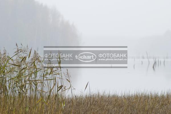 Россия. Псковская область. Верято. Река / Природа / реки и озера