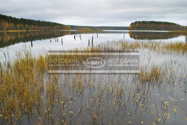 Россия. Псковская область. Верято. Река / Природа / реки и озера
