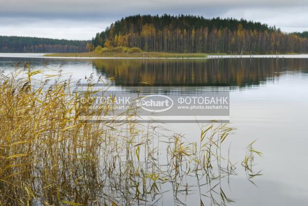Россия. Псковская область. Верято. Река / Природа / реки и озера