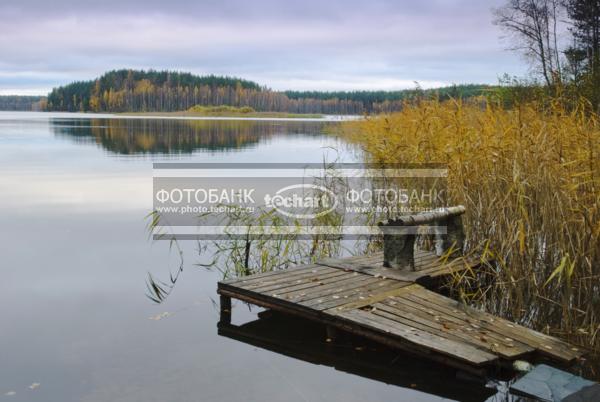 Россия. Псковская область. Верято. Деревянный мостик на реке / Природа / реки и озера