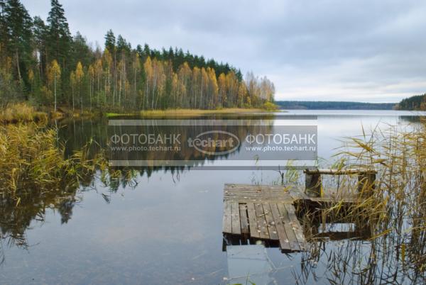 Россия. Псковская область. Верято. Деревянный мостик на реке / Природа / реки и озера