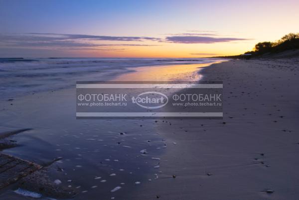 Россия. Калининградская область. Побережье Балтийского моря. Бревна-волнорезы на берегу Куршской косы / Природа / моря и океаны