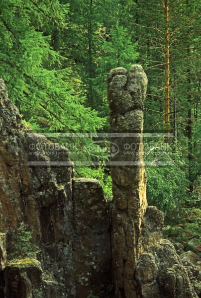 Россия. Сибирь. Иркутская область. Красноярский край. Эвенкия. Склон / Природа / горы