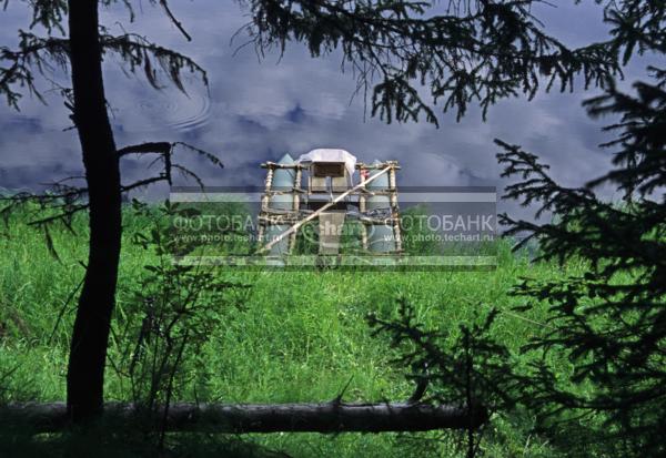 Россия. Сибирь. Красноярский край. Эвенкия. Река Катанга / Природа / реки и озера