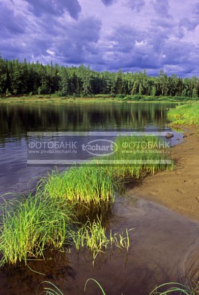 Россия. Сибирь. Красноярский край. Эвенкия. Река Подкаменная Тунгуска / Природа / реки и озера
