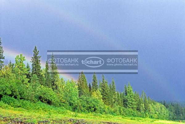 Россия. Сибирь. Красноярский край. Эвенкия / Природа / леса и поля
