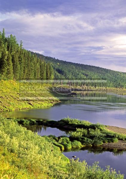 Россия. Сибирь. Красноярский край. Эвенкия. Река Подкаменная Тунгуска / Природа / реки и озера