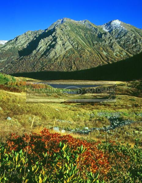 Россия. Западный Кавказ. Краснодарский край. Кавказский заповедник, Семиозёрье. Горы, озеро рододендрон / Природа / реки и озера