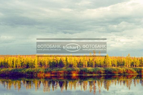 Россия. Сибирь. Среднесибирское плоскогорье, Красноярский край. Эвенкия, река Мойерокан / Природа / реки и озера
